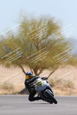 media/May-12-2024-SoCal Trackdays (Sun) [[ad755dc1f9]]/10-Turn 4 Tree of Life (1120am)/